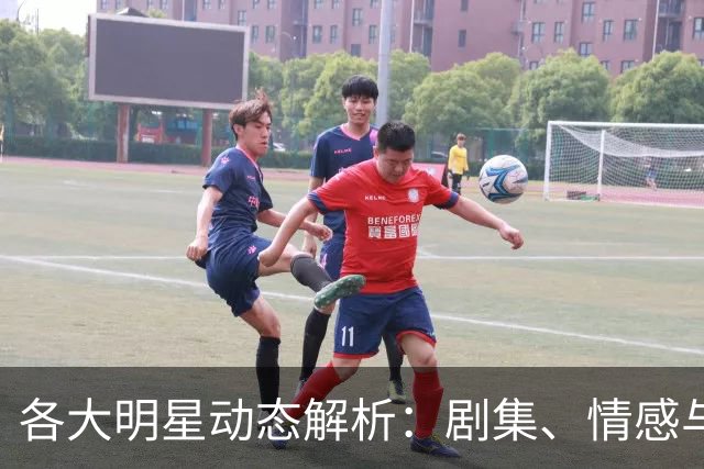 各大明星动态解析：剧集、情感与投资全都在这里
